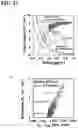Fig. 12 - MANUFACTURING METHOD AND INSPECTION METHOD OF GROUP-III NITRIDE LAMINATE, AND GROUP-III NITRIDE LAMINATE