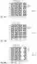 Fig. 05 - Semiconductor device and method of manufacturing the same