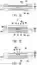 Fig. 07 - Package structure and method of forming the same