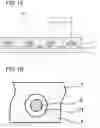 Fig. 02 - Anisotropic conductive film and method of producing the same