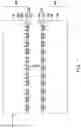 Fig. 02 - Package structure and manufacturing method thereof