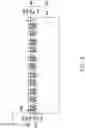 Fig. 04 - Package structure and manufacturing method thereof