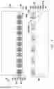 Fig. 05 - Package structure and manufacturing method thereof