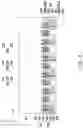 Fig. 07 - Package structure and manufacturing method thereof