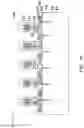 Fig. 12 - Package structure and manufacturing method thereof