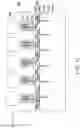 Fig. 14 - Package structure and manufacturing method thereof