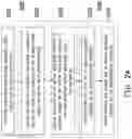 Fig. 26 - Package structure and manufacturing method thereof