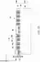 Fig. 29 - Package structure and manufacturing method thereof