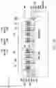 Fig. 31 - Package structure and manufacturing method thereof