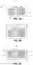 Fig. 04 - Neighboring gate-all-around integrated circuit structures having disjoined epitaxial source or drain regions