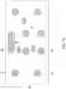 Fig. 17 - Static random access memory cell employing n-doped PFET gate electrodes and methods of manufacturing the same