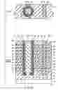 Fig. 22 - Semiconductor memory device