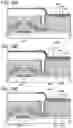 Fig. 21 - Display device