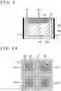 Fig. 07 - Photodetector