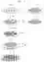Fig. 06 - Semiconductor package and method of manufacturing the same