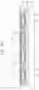 Fig. 28 - Semiconductor package and method of manufacturing the same