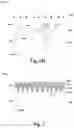Fig. 06 - Absorption enhancement structure for image sensor