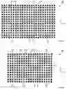 Fig. 20 - Shared three-dimensional vertical memory