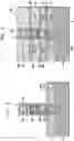 Fig. 09 - Single column compound semiconductor bipolar junction transistor with all-around base