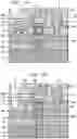 Fig. 22 - Single column compound semiconductor bipolar junction transistor with all-around base