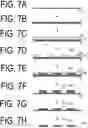 Fig. 08 - Manufacturing method of mask