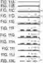 Fig. 12 - Manufacturing method of mask