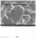 Fig. 06 - Negative electrode active material for secondary battery and secondary battery including the same