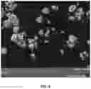 Fig. 05 - Lead-based alloy and related processes and products