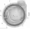 Fig. 03 - Antenna for wearable devices
