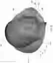 Fig. 08 - Antenna for wearable devices
