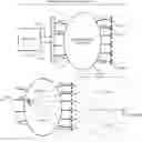 Fig. 01 - Methods and systems for using a beam-forming network in conjunction with maximal-ratio-combining techniques