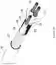 Fig. 04 - Leakage current detection and interruption device for power cord, and power connector and appliance employing the same