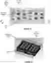 Fig. 11 - Homopolar linear synchronous machine utilizing a cold plate