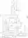 Fig. 02 - Amplifier with common mode detection