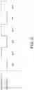 Fig. 03 - Electronic circuit