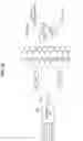 Fig. 24 - Wireless communication device, terminal device, and method