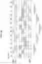 Fig. 29 - Wireless communication device, terminal device, and method
