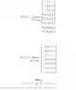 Fig. 152 - Method and apparatus to CSI reporting using multiple antenna panels in advanced wireless communication systems