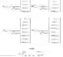 Fig. 156 - Method and apparatus to CSI reporting using multiple antenna panels in advanced wireless communication systems