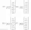 Fig. 221 - Method and apparatus to CSI reporting using multiple antenna panels in advanced wireless communication systems