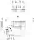 Fig. 09 - Ground terminals via remote digital-beam-forming networks for satellites in non-geostationary orbit