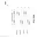 Fig. 84 - Beamformer for end-to-end beamforming communications system