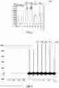 Fig. 04 - Systems and methods for skew detection and pre-compensation in a coherent optical system