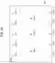 Fig. 30 - Communication apparatus and communication method