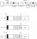Fig. 01 - Initialization of a local bus