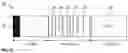 Fig. 03 - Determination of data bus subscribers of a local bus