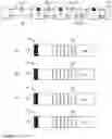 Fig. 04 - Determination of data bus subscribers of a local bus