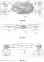 Fig. 02 - Method and apparatus for network congestion control based on transmission rate gradients