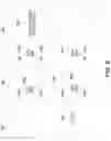 Fig. 07 - Partial reconfiguration for Network-on-Chip (NoC)