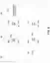 Fig. 08 - Partial reconfiguration for Network-on-Chip (NoC)